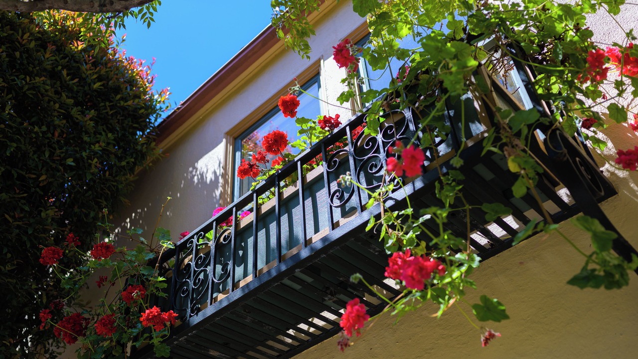 Photo of Outdoor in Marina District