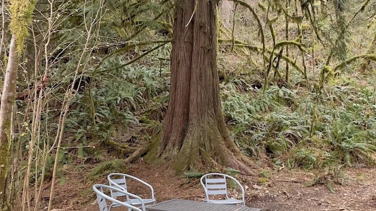 Photo of Outdoor in Skagit County