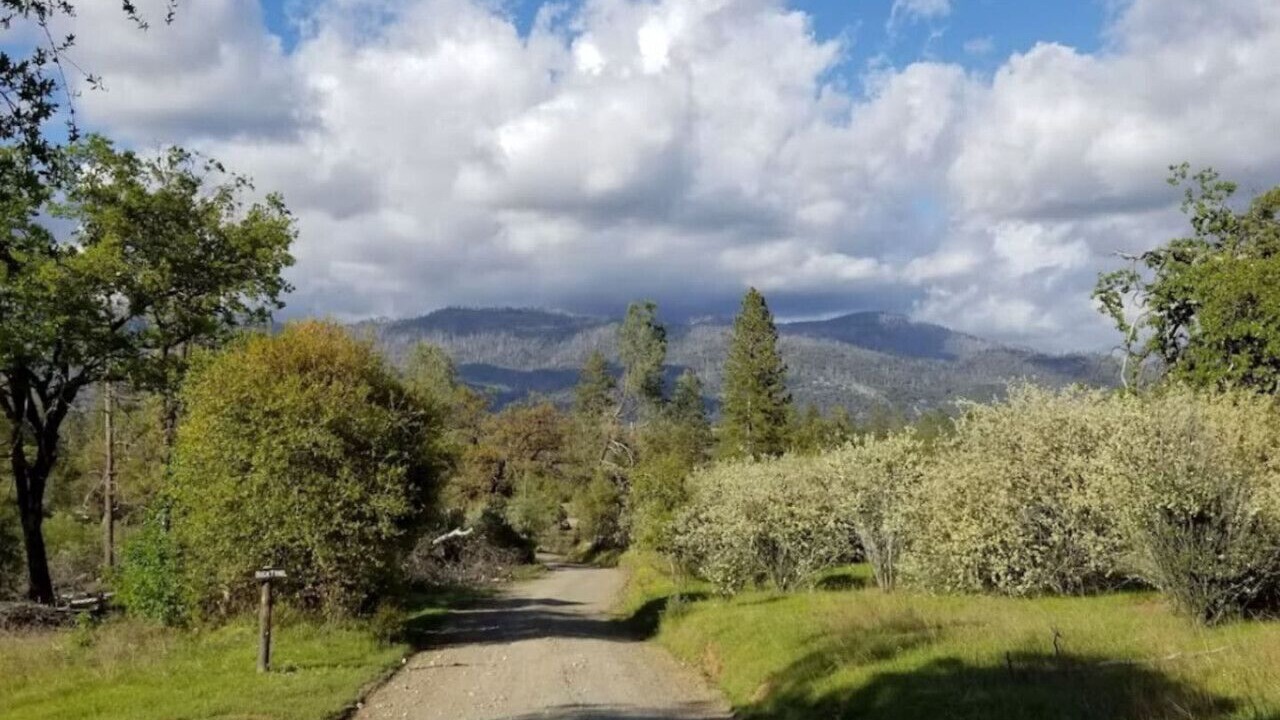 Photo of Others in Mariposa
