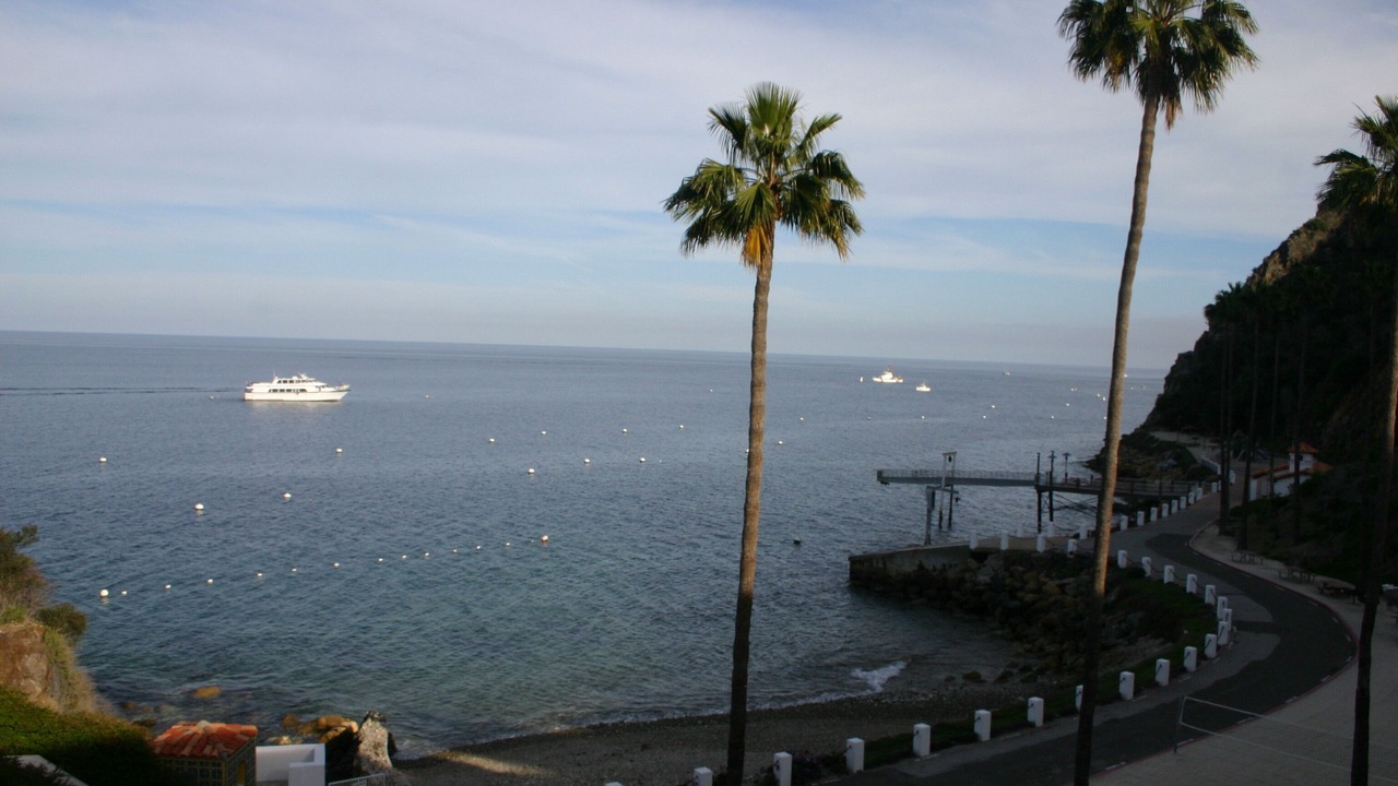Photo of Others in Avalon