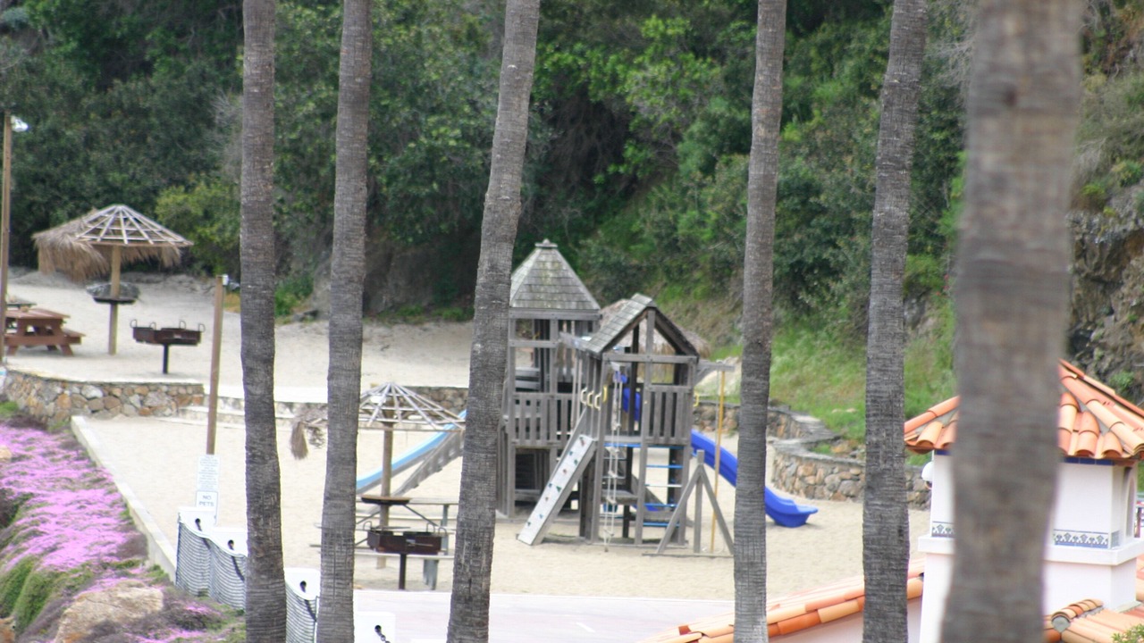Photo of Others in Avalon