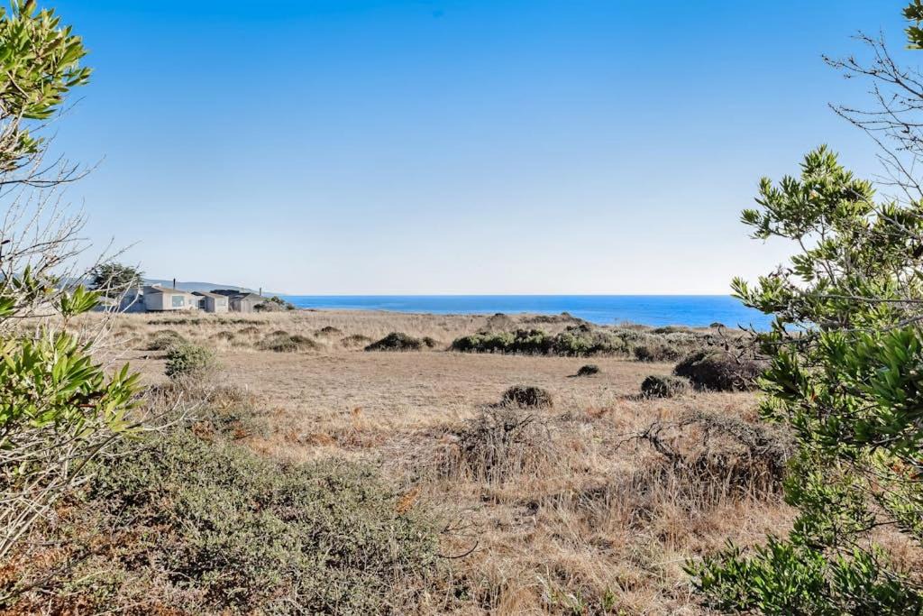 Photo of Others in Sea Ranch
