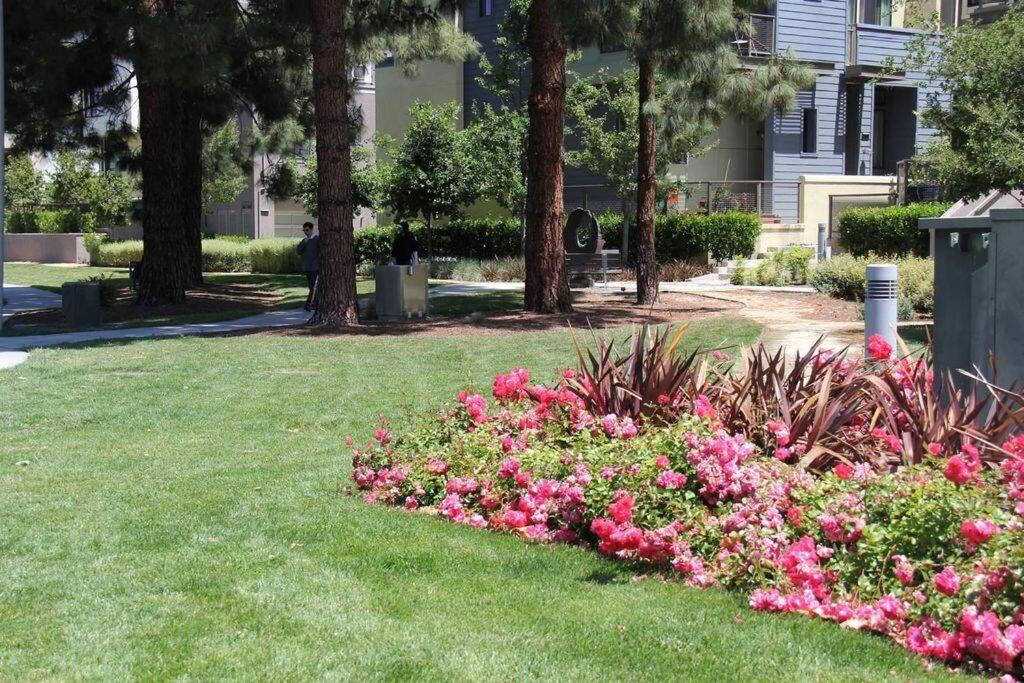 Photo of Others in Palo Alto