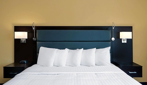 Standard Accessible Room