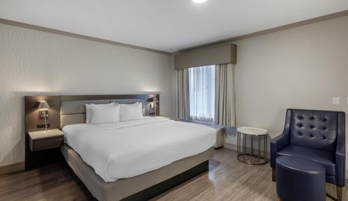 Standard Room, 1 King Bed, Accessible, Refrigerator & Microwave