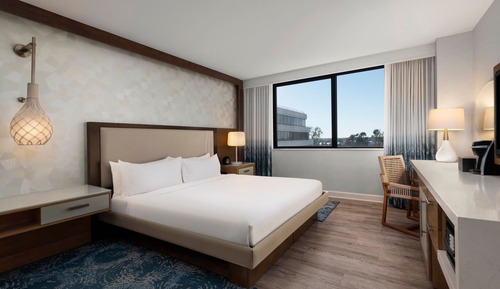 Room, 1 King Bed