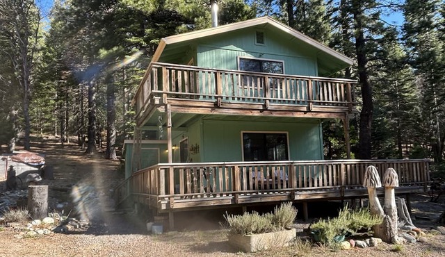 Cozy one bedroom home in the woods 5 miles from the town of Mount Shasta.